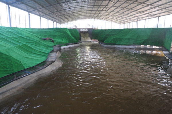 模型乌东德的科技创新