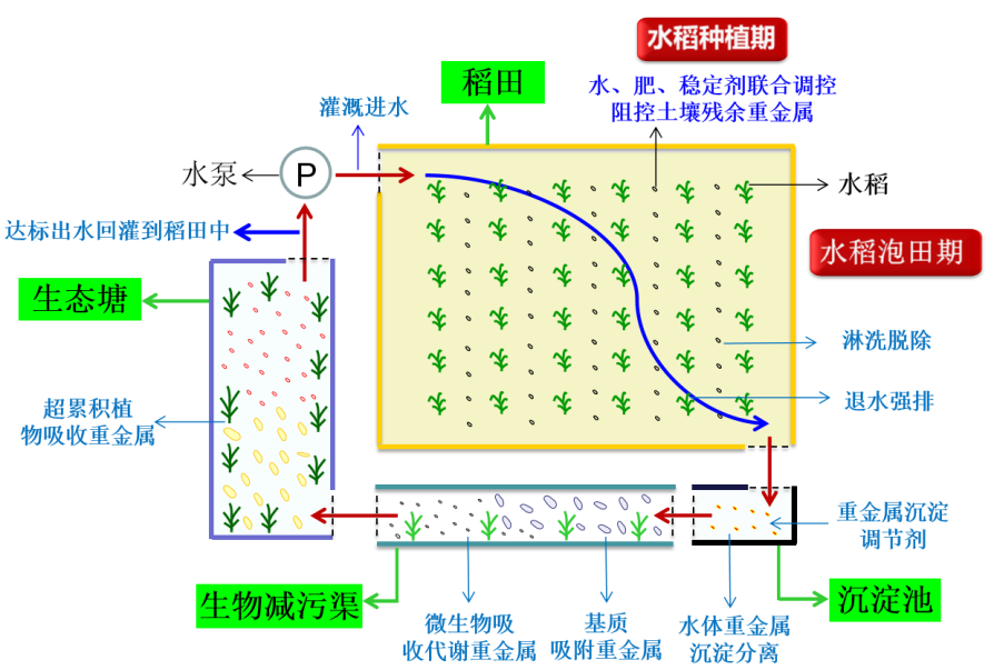 图片16.png