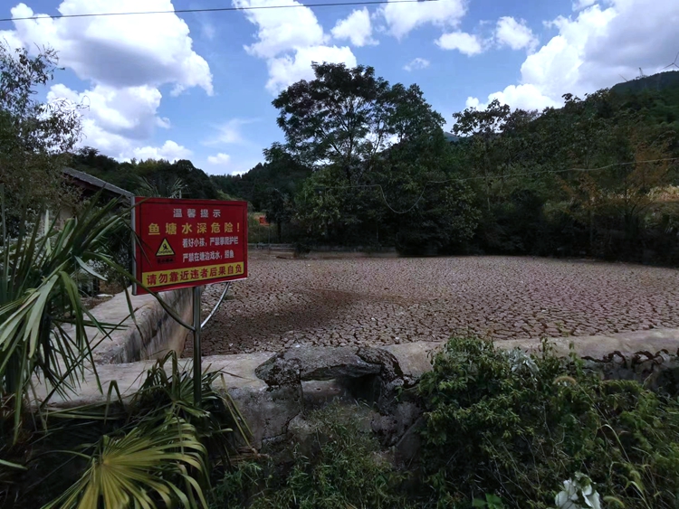 南川区水江镇石茂村山坪塘严重干裂.jpg 南川区水江镇石茂村山坪塘严重干裂.jpg