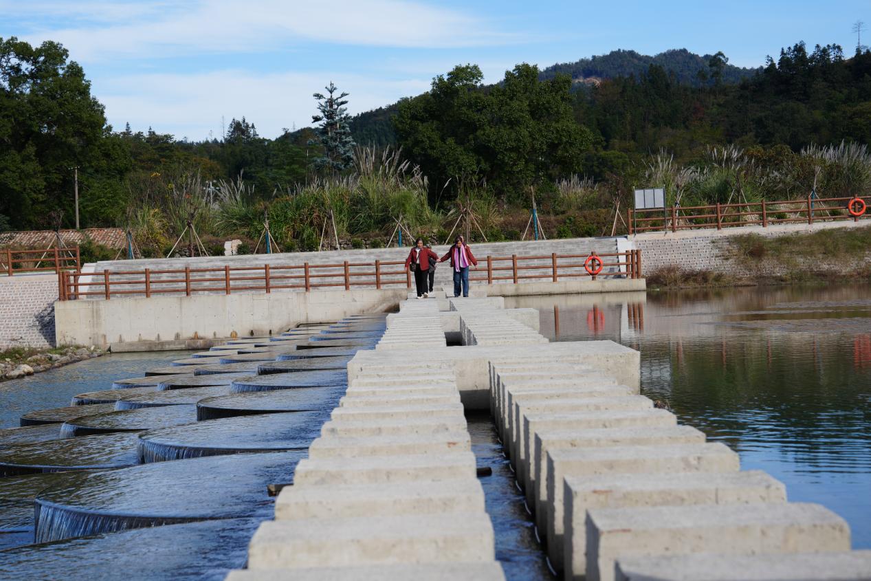 图片6.jpg 图片6.jpg