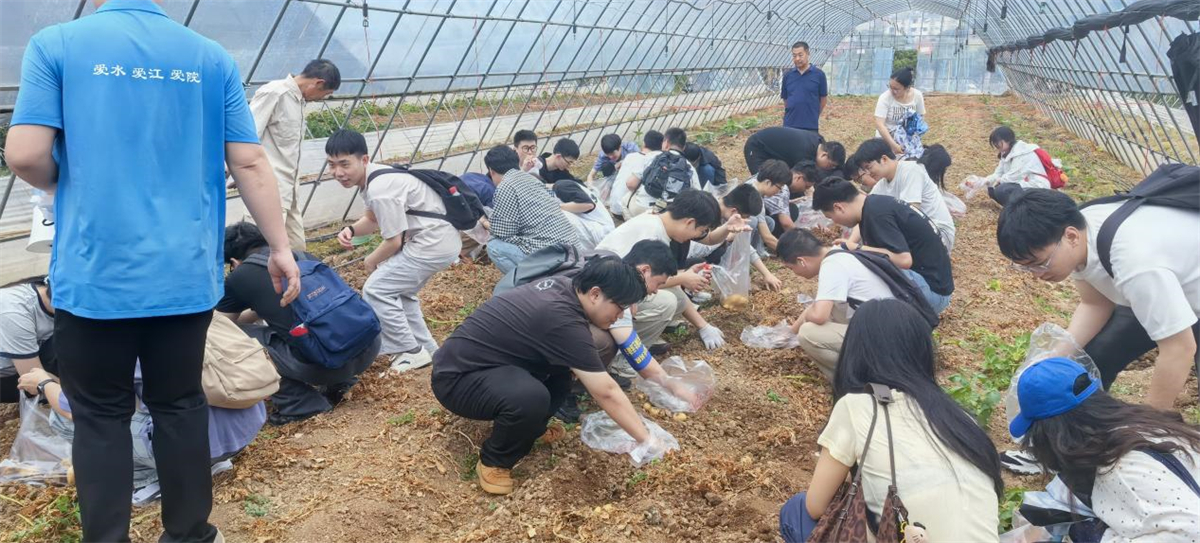 图片8.jpg